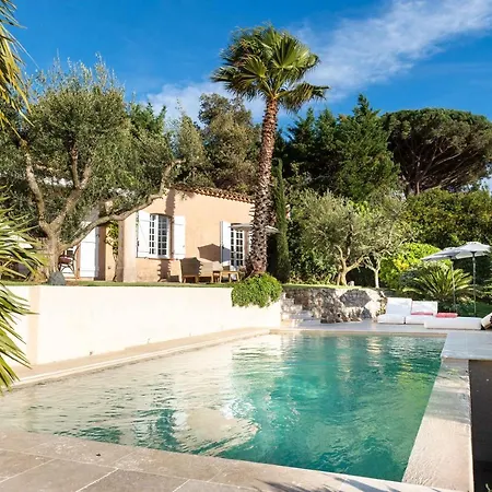 Tosca Saint-Tropez